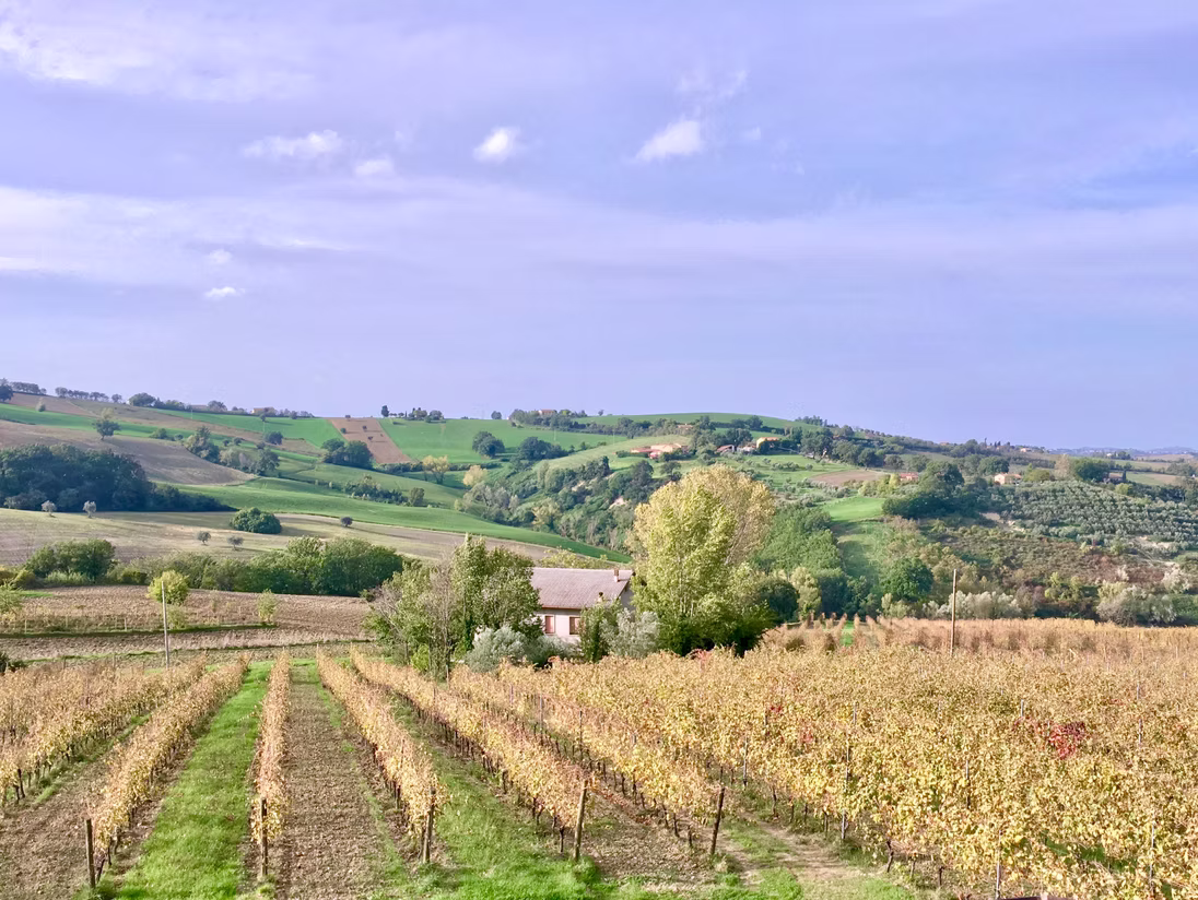 My First Trip to Italy