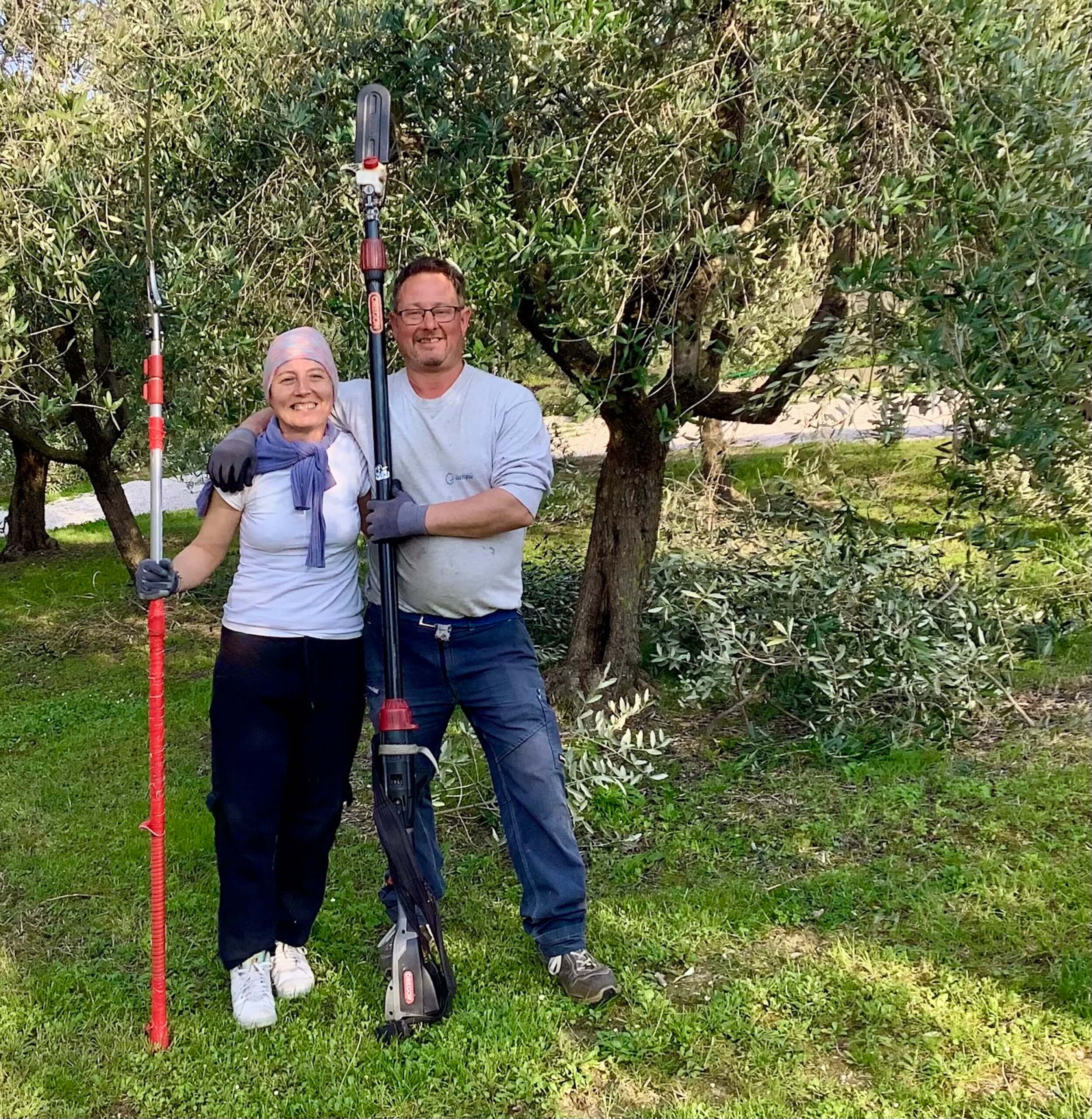 Pruning the Olive Tree